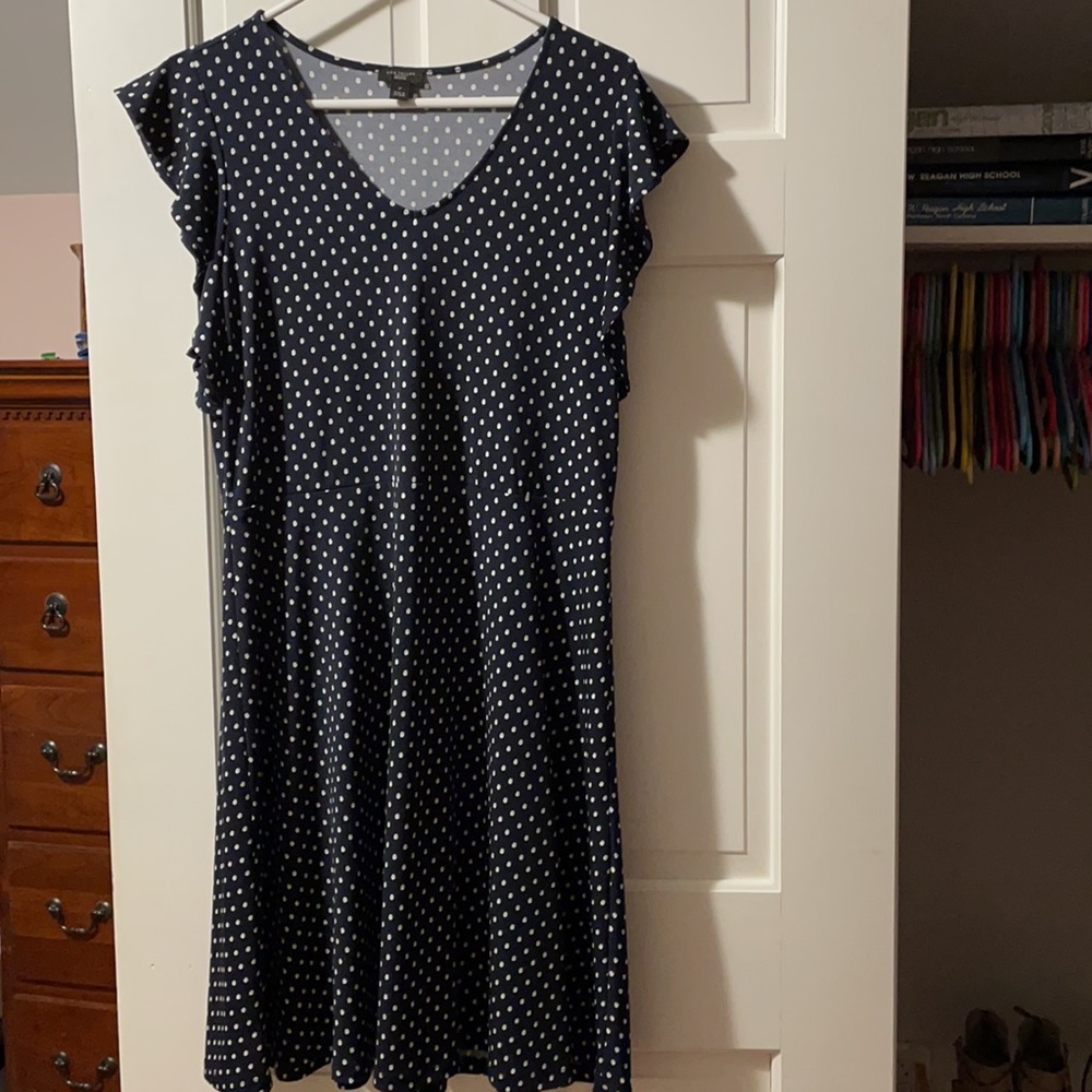 Size L (Petite) Ann Taylor polka dot dress